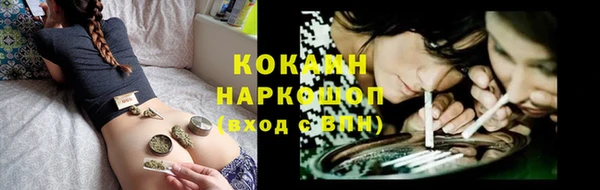 гидра Аркадак