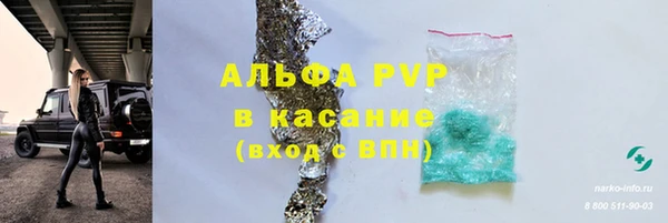 гидра Аркадак