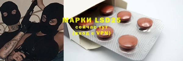 индика Армянск