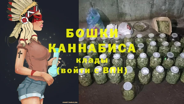 индика Армянск