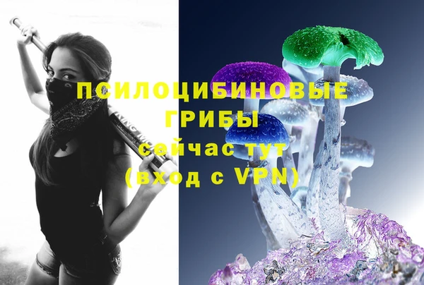 мескалин Арсеньев