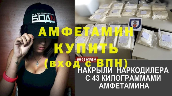 гидра Аркадак