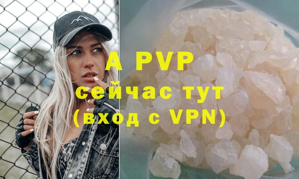 гидра Аркадак