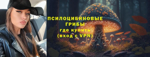 гидра Аркадак