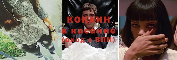 гидра Аркадак