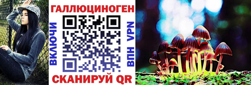 купить наркоту  Сердобск  Псилоцибиновые грибы Psilocybine cubensis 